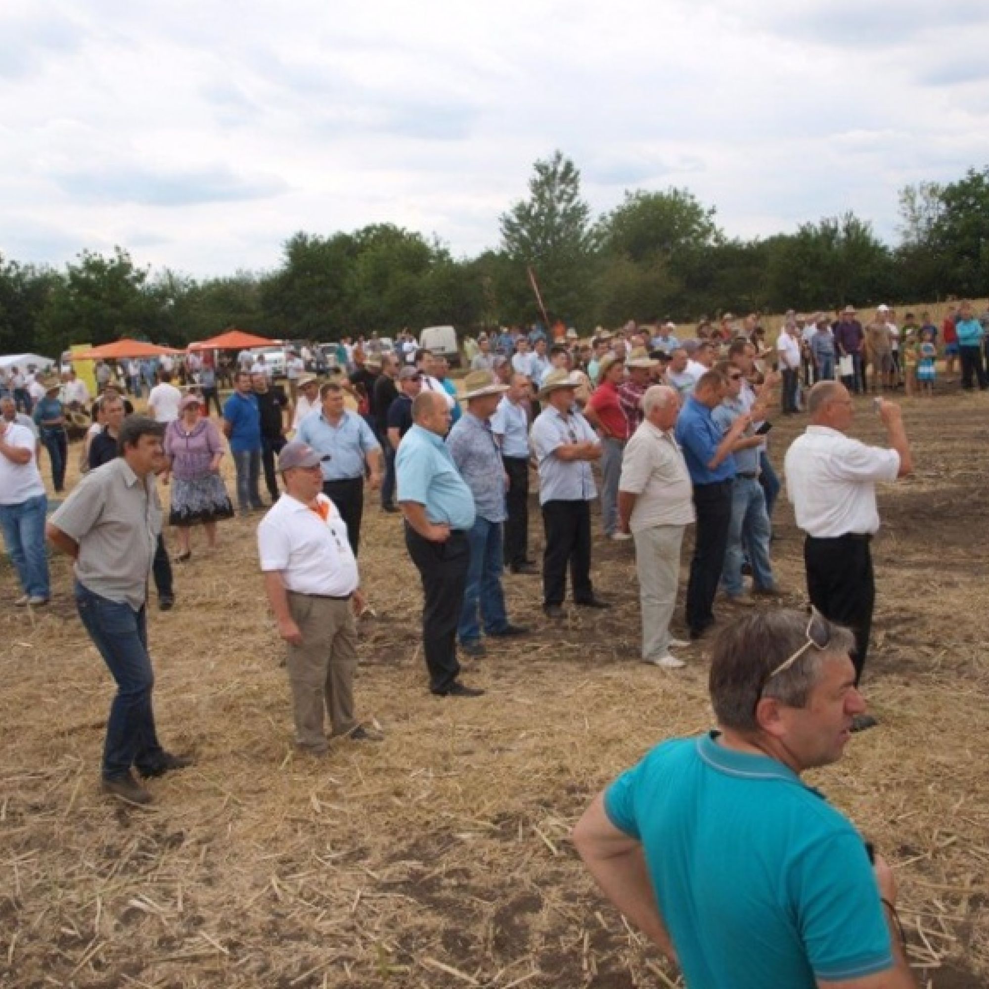 Відбувся День поля компанії «Астра»
